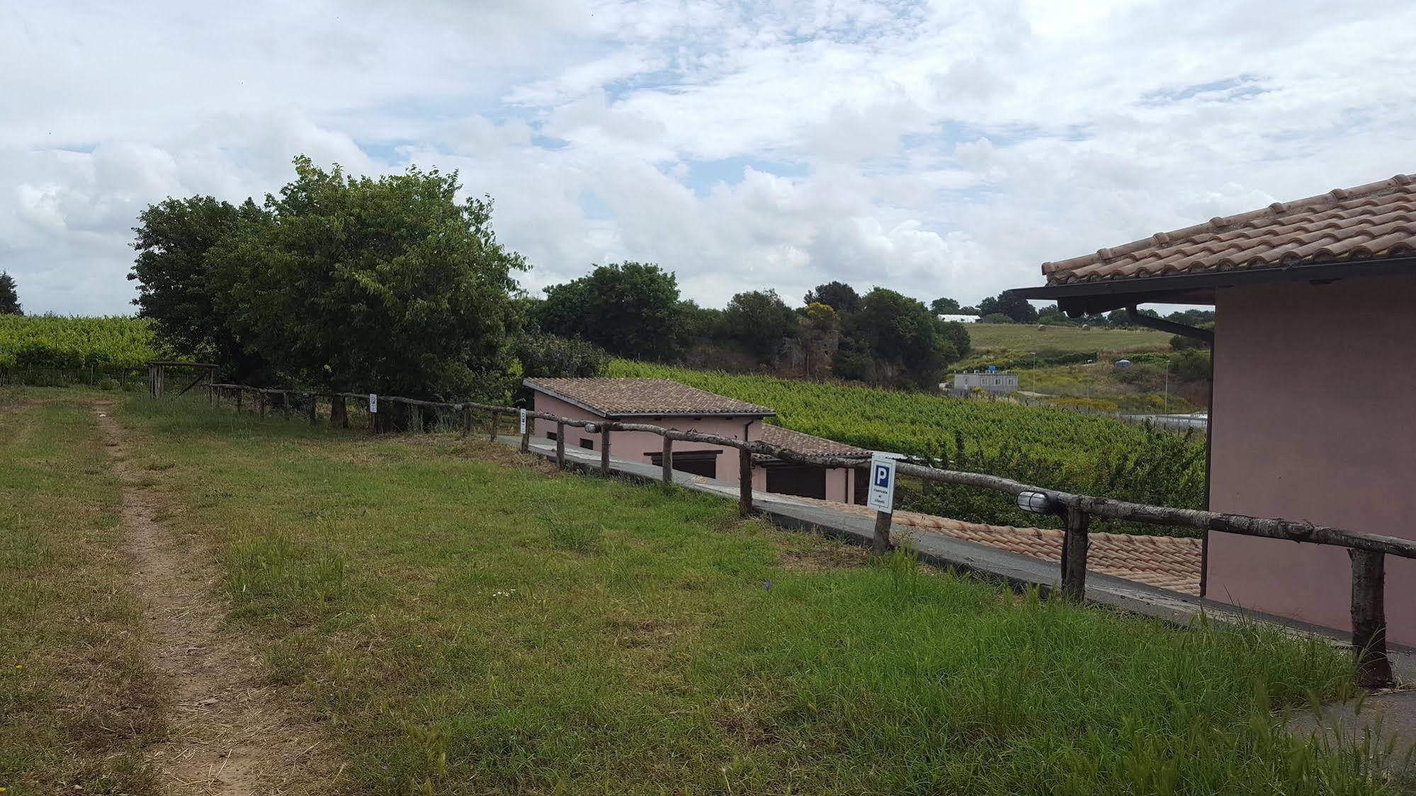 Azienda Agricola Sinisi Cerveteri Extérieur photo